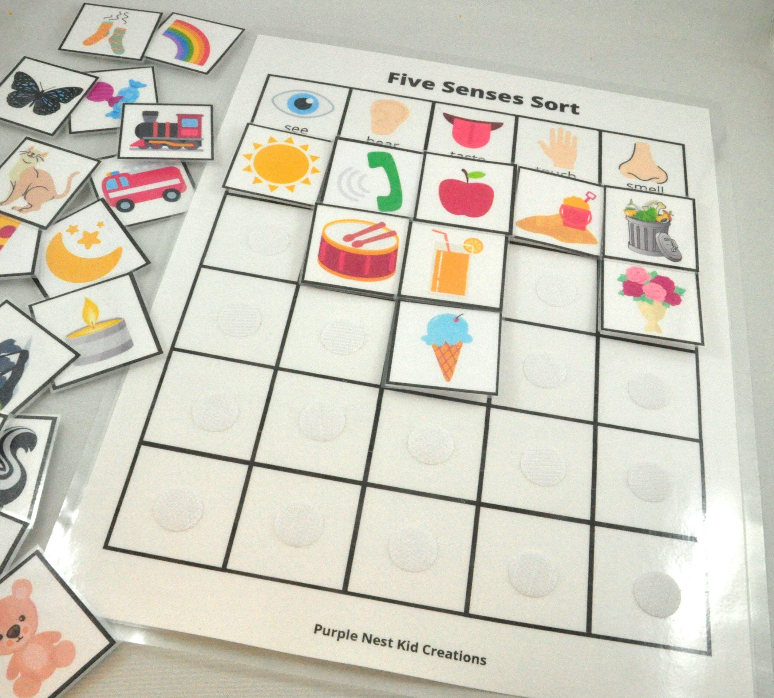 Five Senses Sort Worksheet Sorting Game All About Me Etsy