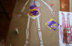Life Sized Body Map Fun Family Crafts