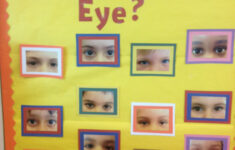 Pin By Adriana Casas On Kids Stuff Me Preschool Theme All About Me