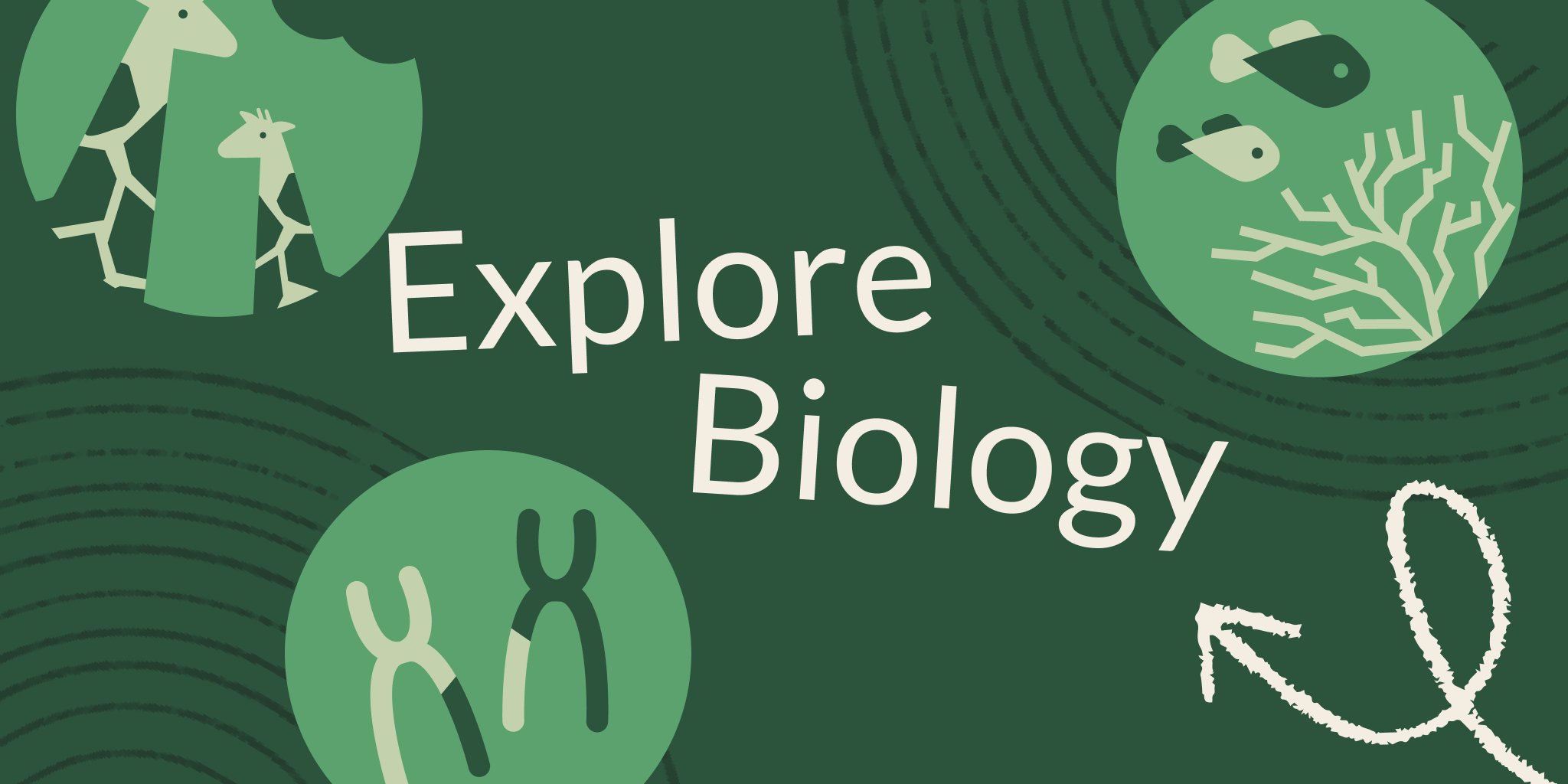 Free All About Me Worksheet - Khan Academy Blog within All About Me Worksheet Khan Academy